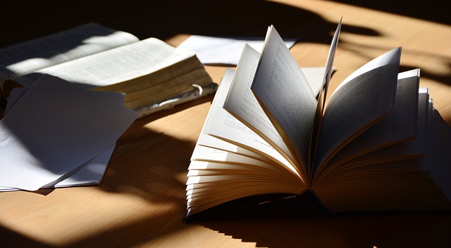 馬來西亞思特雅大學(xué)國際聲譽